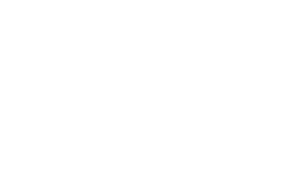 Aydın Çavuş